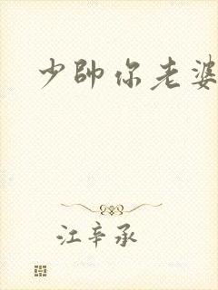 少帅你老婆封面