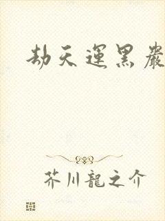 劫天运黑岩封面