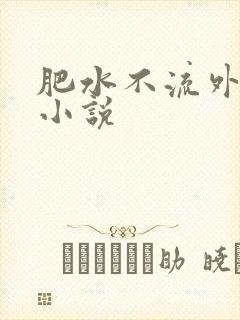 肥水不流外人田小说封面