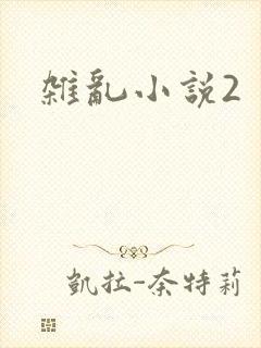 杂乱小说2