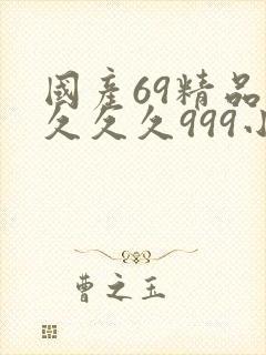 国产69精品久久久久999小说