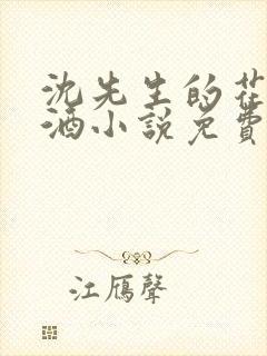 沈先生的花式调酒小说免费阅读封面