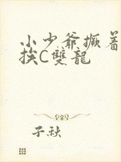 小少爷撅着屁股挨C双龙封面