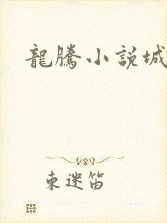 龙腾小说城封面