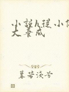 小说h从小做到大养成