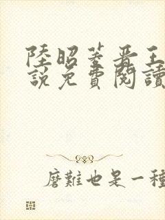 陆昭菱晋王的小说免费阅读