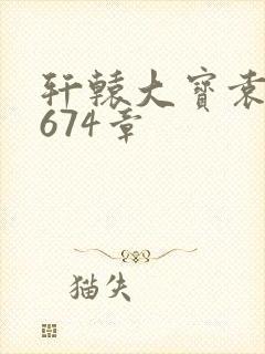 轩辕大宝袁雪妃674章