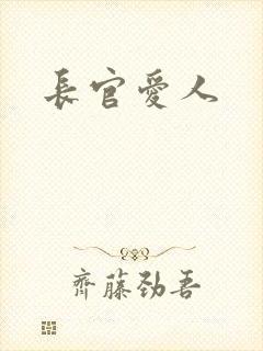 长官爱人封面