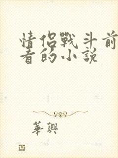 情侣战斗前适合看的小说