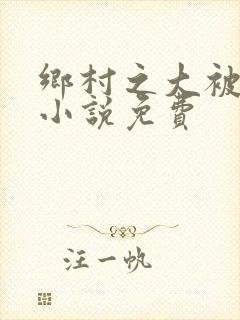 乡村之大被同眠小说免费