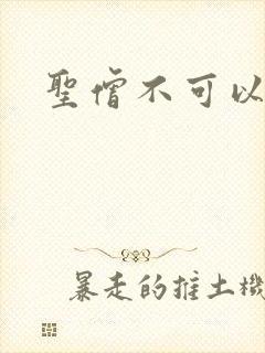 圣僧不可以封面