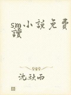 sm小说免费阅读