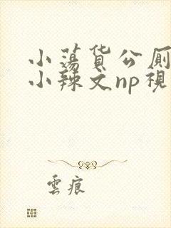 小荡货公厕h文小辣文np视频