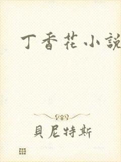 丁香花小说