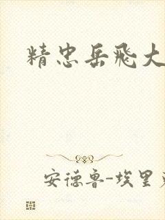 精忠岳飞大结局