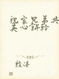 祝家兄弟共享后夹心饼干封面