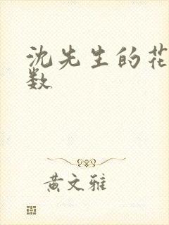 沈先生的花式调数