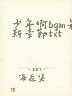 少年啊bgm最新章节txt