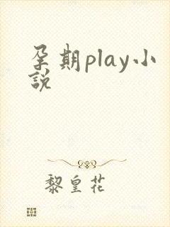 孕期play小说