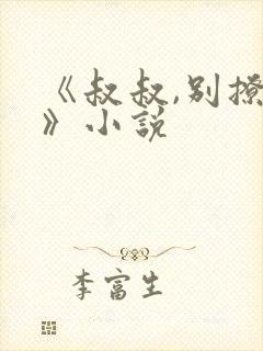 《叔叔,别撩我》小说封面