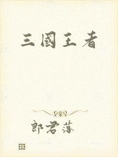 三国王者封面