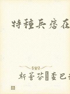 特种兵痞在都市