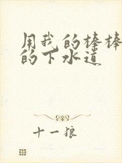 用我的棒棒通你的下水道封面