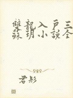 双龙入户三人行苏玥小说全文阅读