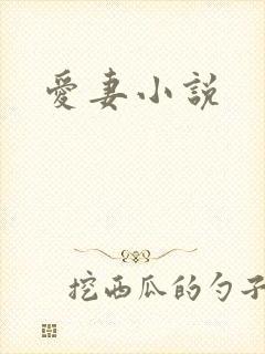 爱妻小说封面