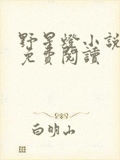 野星灯小说全文免费阅读封面