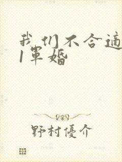 我们不合适1v1军婚