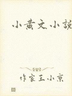 小黄文小说