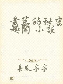 黄蓉的秘密 笔趣阁 小说