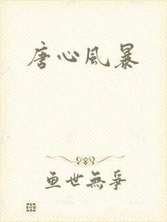 唐心风暴封面