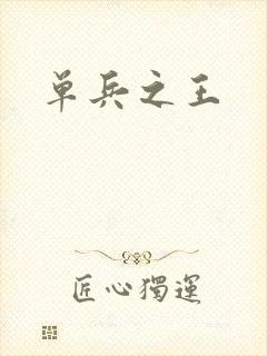 单兵之王封面