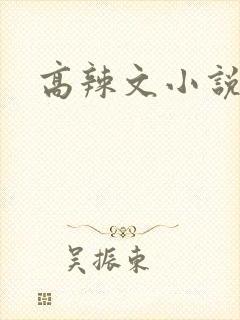 高辣文小说