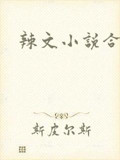 辣文小说合集封面