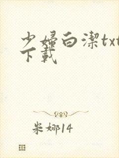 少妇白洁txt下载