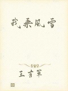 我乘风雪封面