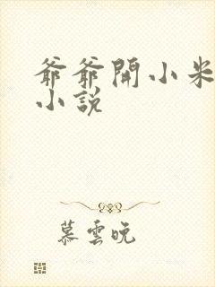 爷爷开小米的包小说
