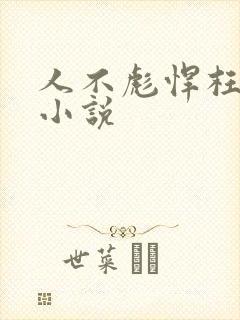 人不彪悍枉少年小说