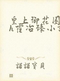 皇上御花园hlh霍冶臻小说