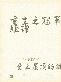 重生之冠军篮球经理