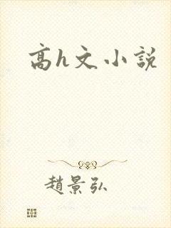 高h文小说封面