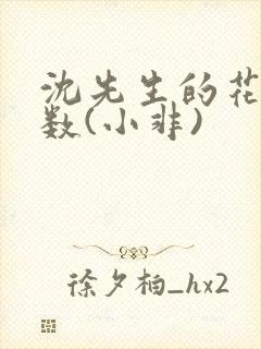 沈先生的花式调数(小非)