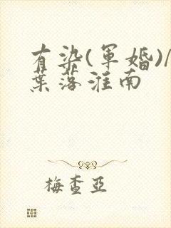 有染(军婚)/叶落淮南