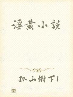 淫黄小说