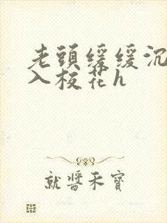 老头缓缓沉腰进入校花h封面