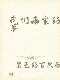 我们两家的荒唐事封面