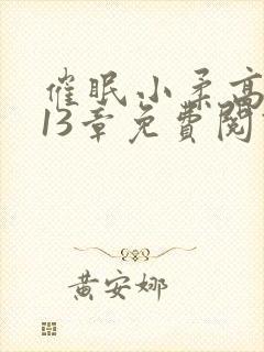 催眠小柔高达第13章免费阅读